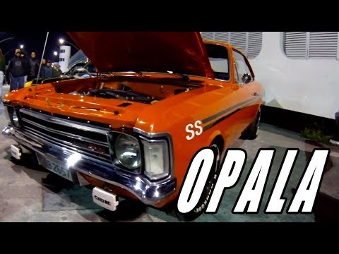 Opalas Maravilhosos Brilham na Noite de SP