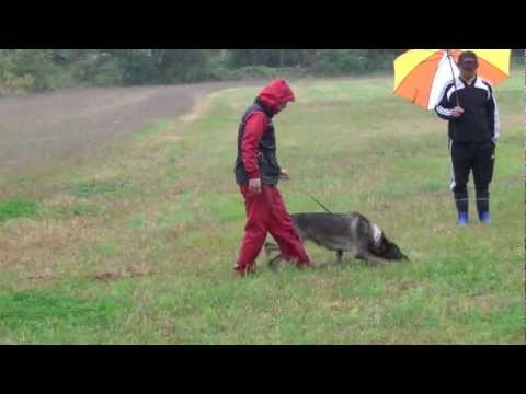 Ninja von Kyoto Masuda tracking 20Month