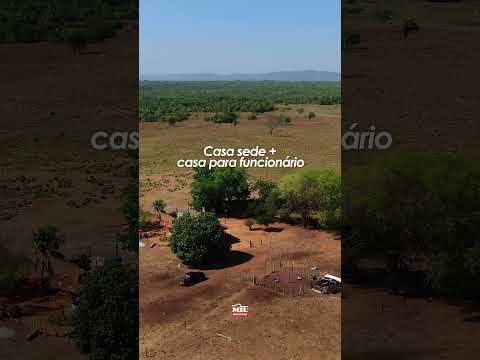 FAZENDA À VENDA 201 ALQUEIRES ARAGUAPAZ – GOIÁS #fazendaavenda #fazenda #agro