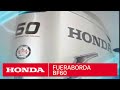 Motor Fuera de Borda Honda BF60 | Video