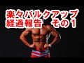 楽々バルクアップ経過報告(バルクアップ日記その1)