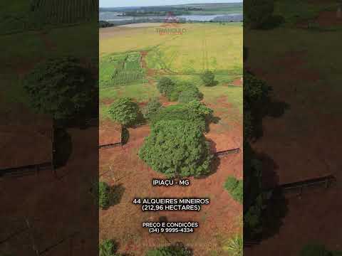 Fazenda à venda em Ipiaçu com 44 alqueires mineiros - Triangulo Mineiro - Minas Gerais