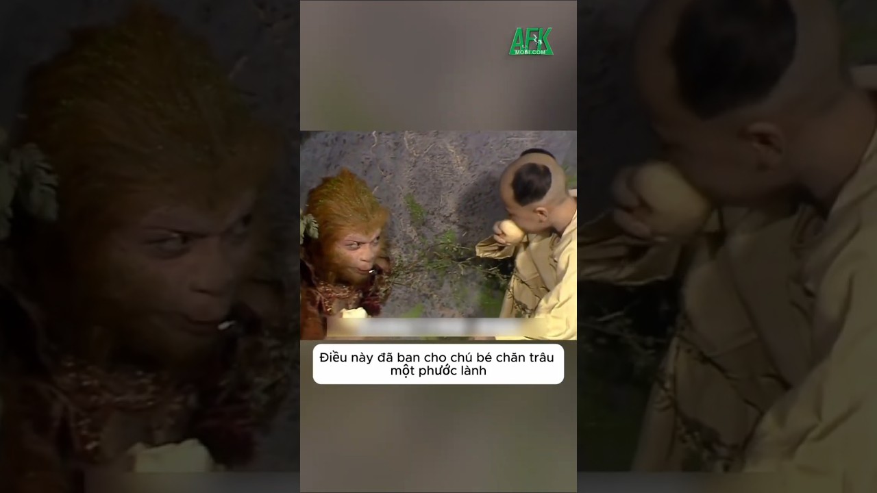 Lý do cậu bé hái đào cho Tôn Ngộ Không có thể sống tới 130 tuổi trong Tây Du Ký