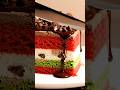 4K ASMR Snickers Chocolate Cake Ultimate Satisfying Cut Drizzle Oddlysatisfying