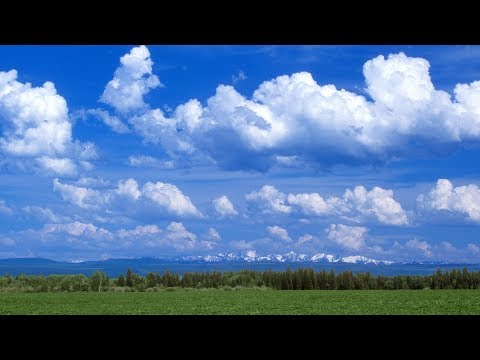 Bóng mây Sheet - Quang Châu