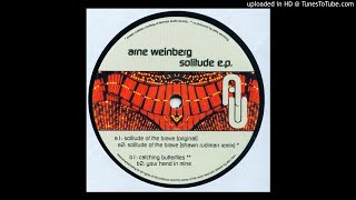 Arne Weinberg - Solitude Of The Brave