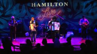 Nathan Williams & The Zydeco Cha Chas - Taunt Rosa