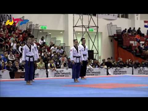 Vietnam Taekwondo Freestyle 2016 in Peru