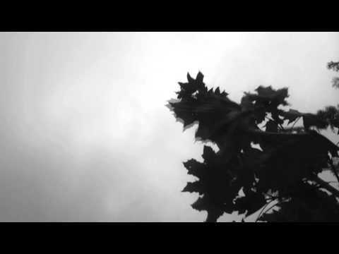 Leonard Constant — "Don Quijote (varianta vîntului cititor de arțari)"