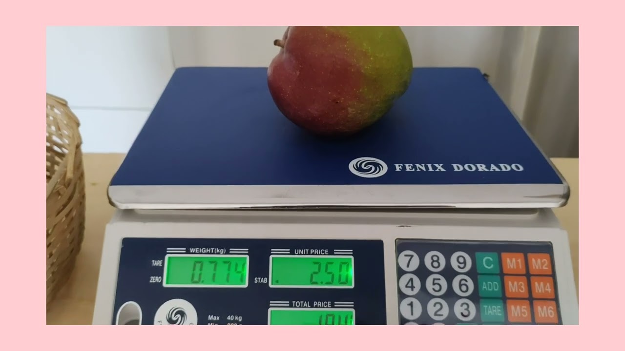 @dicasdaneide3089 . Como usar balança digital Fenix Dorado.