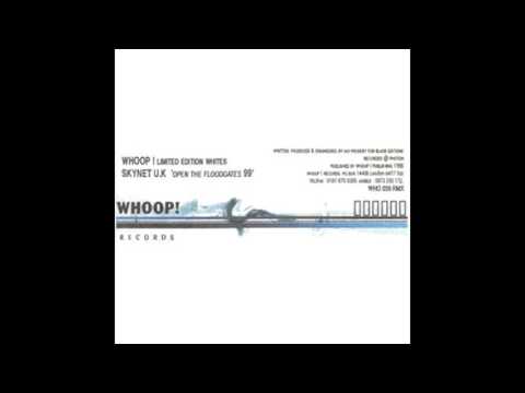 Skynet Uk - Open The Floodgates '99