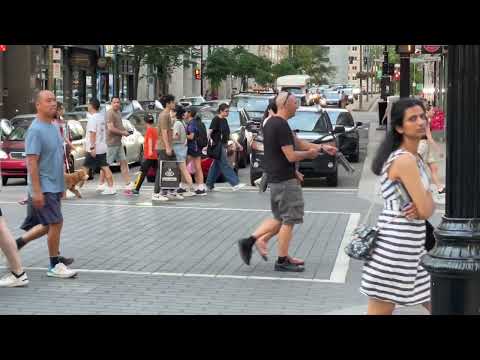 Le Pouls de Montréal