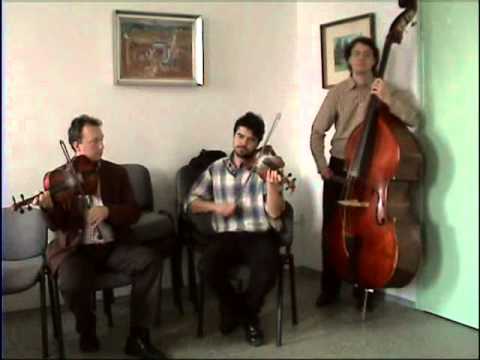 Magyarpalatkai muzsika, zenekar