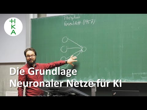 Was ist ein PERZEPTRON? | Grundlage Neuronale Netze | Künstliche Intelligenz | #ki #ai