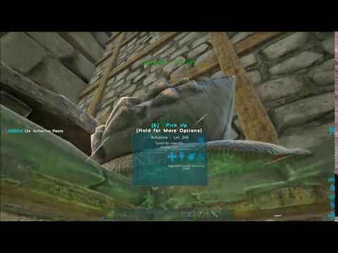 ARK Achatina the snail pen after taming