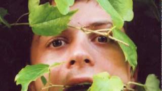 Young Governor - Virginia Creeper