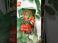 Asima Panda New Status Vedia Durga Puja Bhajn