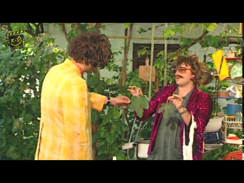 K-15 - Toso bara garderoba za maskenbal