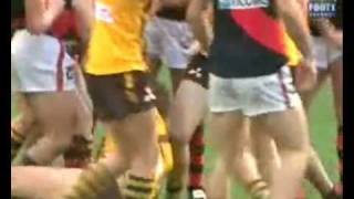 The Best Fight In The AFL