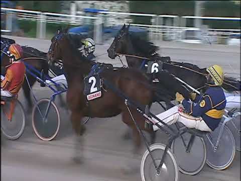 Trotto 29/11/2019 - 2ª corsa