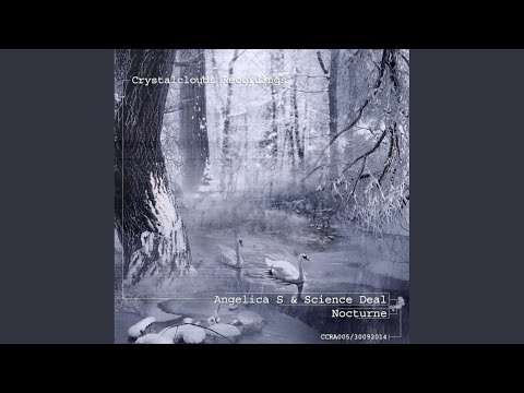 Black Forest (Original Mix)