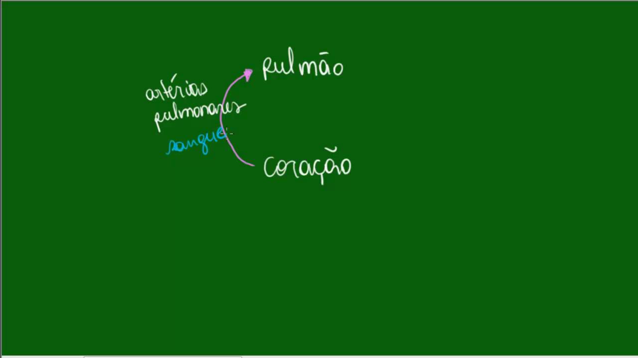 Circulação do Sangue - Pequena Circulação