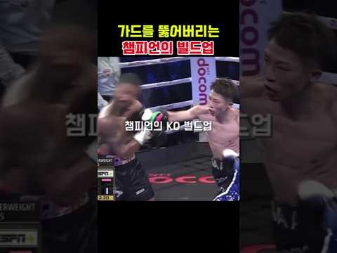 이노우에 나오야의  바디 쨉을 활용한 ko 셋업! #복싱