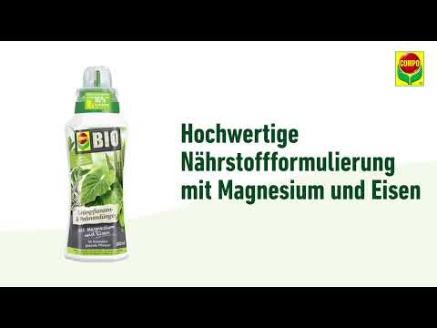 COMPO BIO Grünpflanzen- und Palmendünger