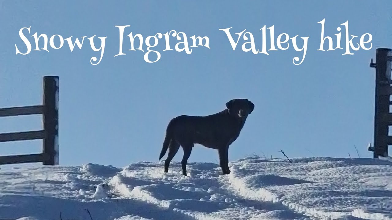 A snowy Ingram Valley hike