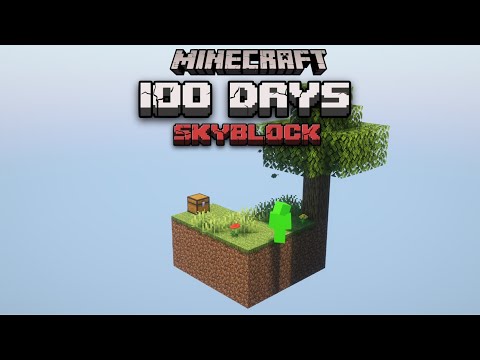 100 Days of Skyblock Infinite