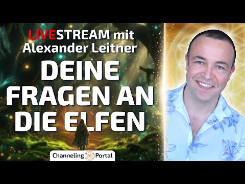🔴LIVE Q&A: Deine Fragen an die Elfen – Alexander Leitner