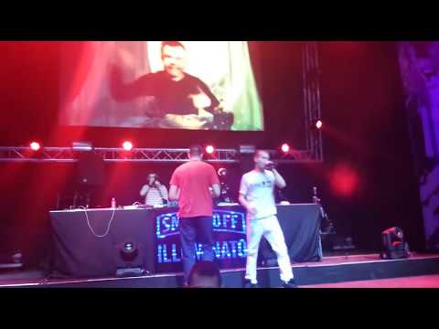 Fox i Tatula - Žene i Alkohol (Trap Remix) live @ Green Bass Novi Sad