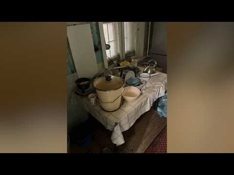 Многодетная нелегалка поселилась в заброшенной хибаре