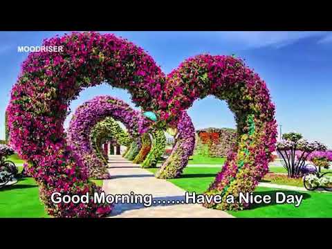 download lagu mp3 mp4 Bhakti Whatsapp Video, download lagu Bhakti Whatsapp Video gratis, unduh video klip Bhakti Whatsapp Video