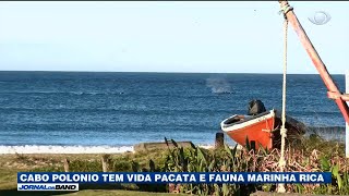 Miniatura do vídeo