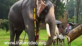 Gaja Ratnam Bastian Vinaya Sankar