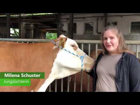 McFly Pp- Der hornlose Überflieger