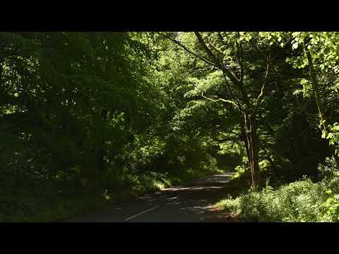 OLVR.S - Fractures [Official Audio]