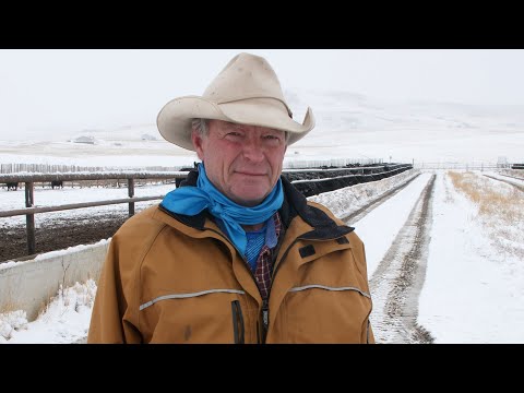 Conversations That Matter What’s the Beef with Beef?