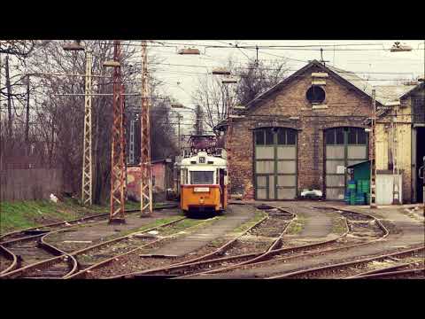 Bfok11 - DaFunk / Marton a parton (km. Tink a Mulató Azték)