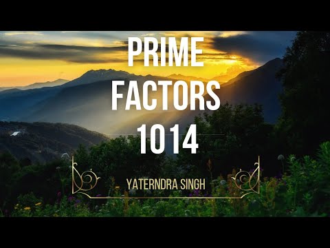 Prime Factors of 1014