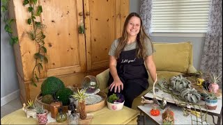 Let's Grow: Decorating with Air Plants ENGLISH GARDENS