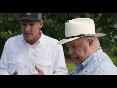 LDAF Sagrera Beef - Ethel LA