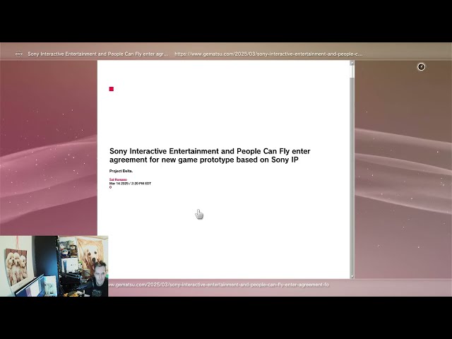 Video preview
