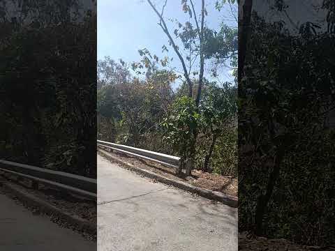 Camino hacia la Laguna , Chalatenango #viajesconhistoria #cámaradeacción