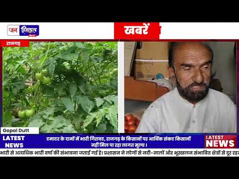 राजगढ़ Tomato Price गिरने से किसान परेशान