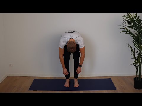 (TB) 408 FAMO Rolldown Ferse auf Halbbälle