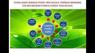 preview picture of video 'tentang fungsi puspa agro, Jemundo Jatim'