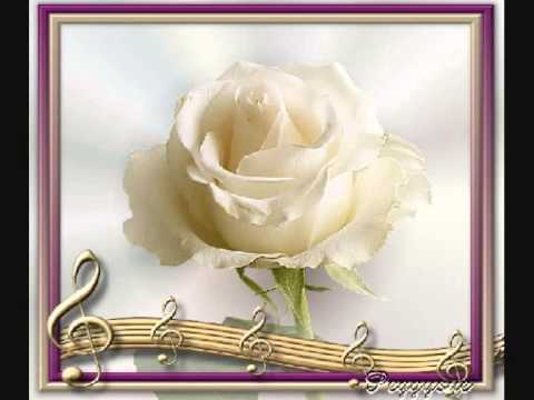 Florent Nushi - T'kisha krah te fluturonja