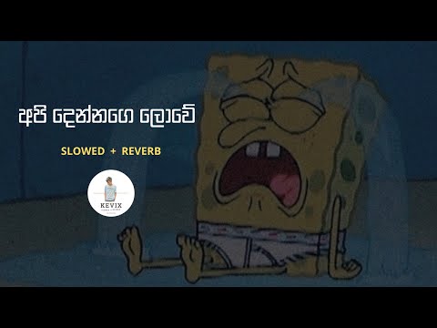 අපි දෙන්නගෙ ලොවේ | Slowed+Reverb | Api dennage lowe| සෑමදා මං ඔබේ .